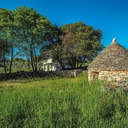 Holiday Home Bellissima Vodnjan Εξωτερικό φωτογραφία